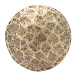 Hammered Screw Back Concho 1 5/8 Inch Antique Brass 7443-09