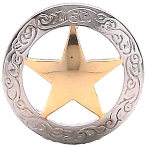 May include: A silver-toned metal star with a gold-colored center, surrounded by a decorative border. The star is a five-pointed star with a circular shape.