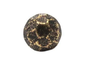 Hammered Brass Upholstery Tack Nails 3/8" 100 Pk NB51211-09