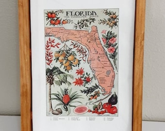 Vintage Florida Map Tea Towel, Botanical Flour Sack Towel, Florida Bar Towel, Citrus Fruit Kitchen Towel, Guest Towel, Housewarming Gift