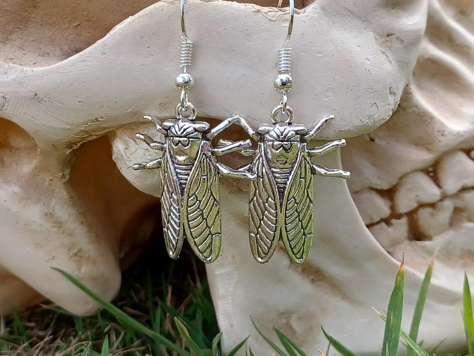 Cicada Insect/bug Earrings - Etsy