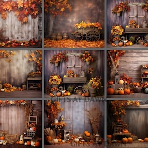 May include: A selection of autumnal photography backdrops. The images showcase wooden backgrounds, pumpkins, fall foliage, and floral arrangements in warm hues. Some backdrops include props such as wagons and ladders.