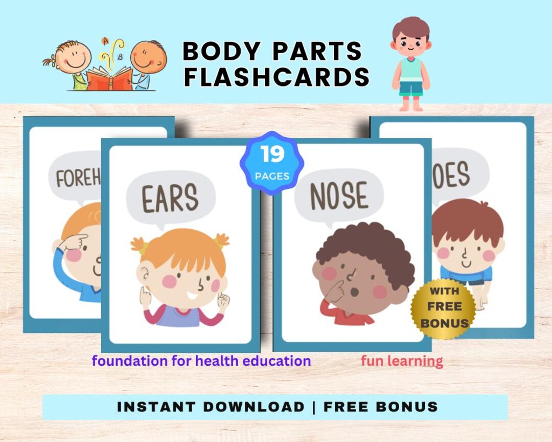 Human Body Parts Flashcards for Kids, Colorful Anatomy Flashcards ...