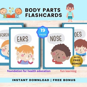 Karteikarten mit Teilen des menschlichen Körpers für Kinder, Bunte Anatomie Karteikarten, Sofort-Download für pädagogisch wertvolle Materialien, Bonus für die frühe Wissenschaft