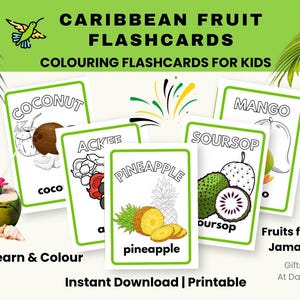 Tarjetas imprimibles de frutas caribeñas, etiquetas de alimentos de Jamaica, descarga instantánea para el aprendizaje escolar y en casa, tarjetas para juegos de memoria.
