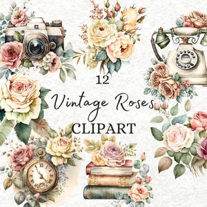 Watercolor Roses Clipart Bundle, Shabby Chic Roses Clip Art Floral with camera png, Cream Flowers, Clipart Wedding Floral, Download