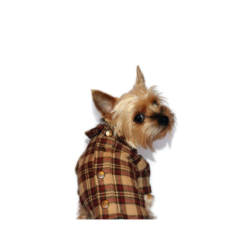 The Classic Button Up Dog Shirt Jacket in Red Plaid Flannel image 5
