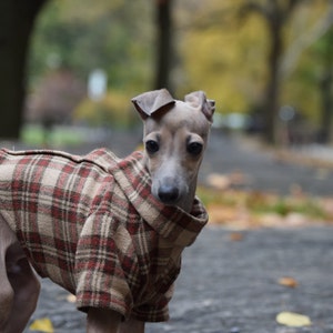 The Classic Button Up Dog Shirt Jacket in Red Plaid Flannel image 3