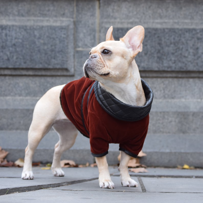 The Dog Smoking Jacket Etsy