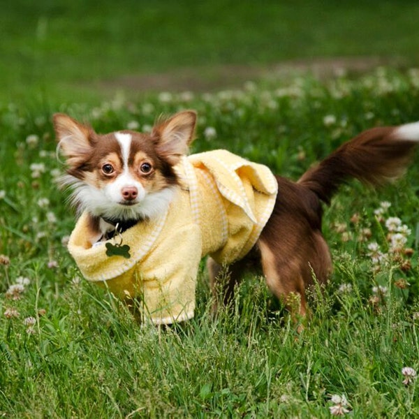 The Dog Bathrobe - Yellow Terry Cloth