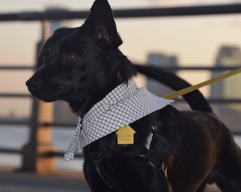 The Snap Dog Bandana in Beige Gingham