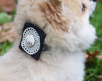 The Music Collar Clip for Dog Collar