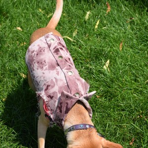 Op de afbeelding: Een bruine en witte hond die een roze en witte tie-dye shirt draagt met knopen op de rug.