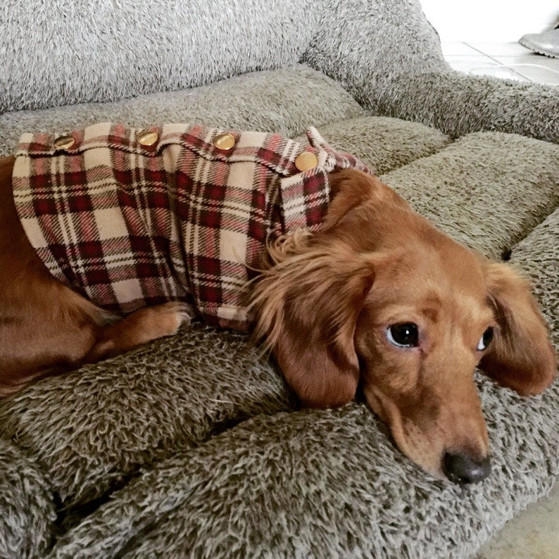 The Classic Button Up Dog Shirt Jacket in Red Plaid Flannel image 2