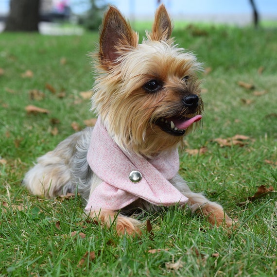 The Snap on Dog Bandana Scarf in Pink Wool
