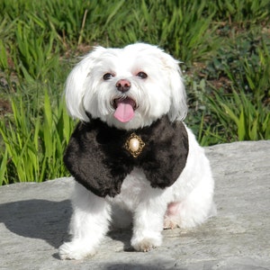 The Faux Fur Dog Collar Stole