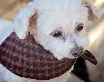 The Flannel Snap on Dog Bandana Scarf in Gingham