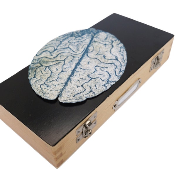 Microscope Slides Etsy