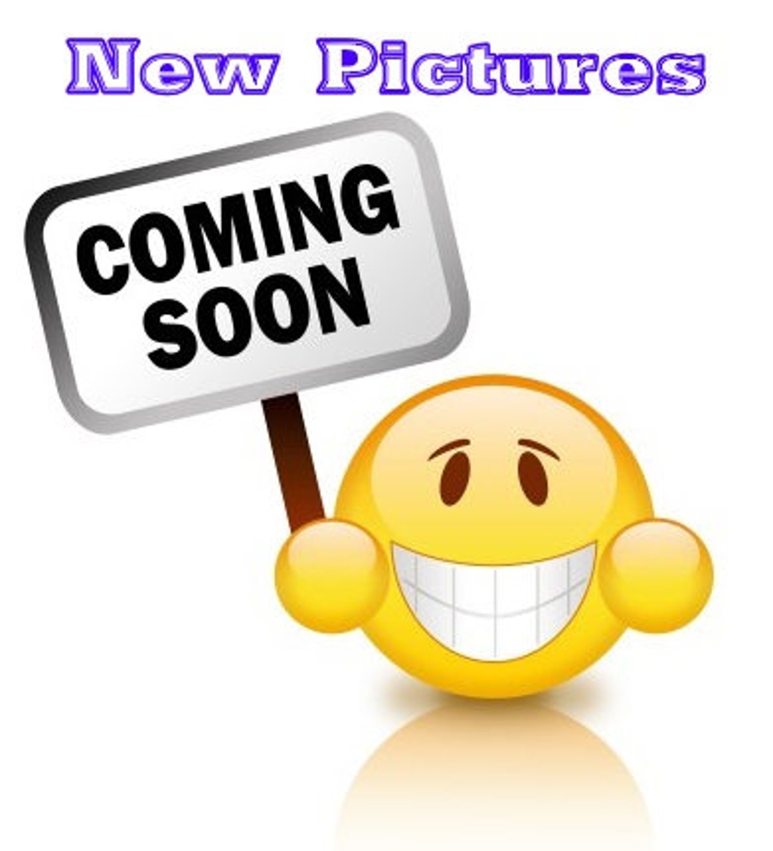 Raleigh North Carolina Embroidered LDS Temple Envelope Etsy