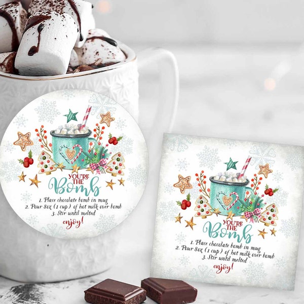 Hot Chocolate Bomb Tag Winter Red Teal Festive Christmas Hot Cocoa Bomb Tag You're The Bomb Printable Tag Instant Download (Sold As-Is) 747