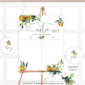 Kleine Cutie oranje geslacht onthullen jongen of meisje grafiek hij of zij bracht uw stem teken uit, raad het geslacht teken afdrukbare Instant Download 248V1
