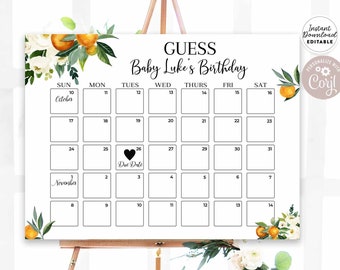 Editable Little Cutie Orange Mandarin Due Date Calendar Sign 18x24" + 16x20" Sign A Little Cutie Printable Template Instant Download 248V1