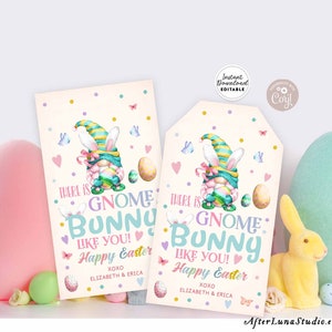 EDITABLE Personalized Easter Gnome Tag Printable There is Gnome Bunny Like You Preschool Classroom Tag Template Instant Download 03 (2)