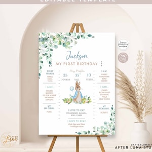 Editable  Peter Rabbit Boy  Bunny Birthday Milestone Poster Birthday Facts Birthday Poster Decor Decoration Instant Download 1455K1