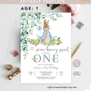 Modificabile Peter Rabbit Birthday Invitation Boy Bunny Peter Rabbit 1st Birthday Invite Printable Template Instant Download 1455K1 (1)