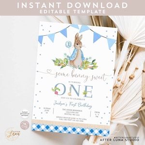 Modificabile 1 ° compleanno Peter Rabbit Birthday Invitation Boy 1 ° Blue Gingham Birthday Invite Modello stampabile Download istantaneo 1465K2 (1)