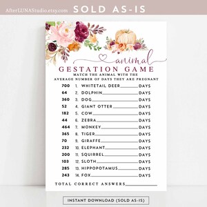 Burgundy Fall Pumpkin Baby Shower Game Animal Gestation Game Baby Shower Printable Games Instant Download AL28