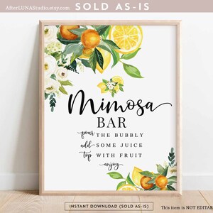 Decoração de chá de panela branco floral laranja limão mimosa bar sinal cítrico ela encontrou seu aperto principal para impressão download instantâneo 294BR3