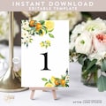Editable White Floral Orange Lemon Table Number Unlimited Numbers Couple Baby Shower Brunch Table Decor Template Instant Download 294BR3