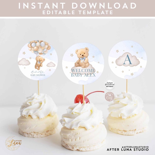 Hot Air Balloon Cupcake Toppers - Etsy
