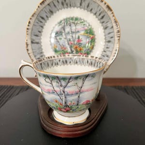 Royal Albert Silver Birch - Etsy