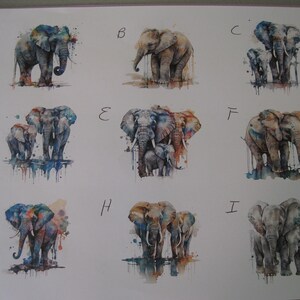May include: Nine watercolor paintings of elephants, each with a different color scheme and composition. The elephants are depicted in various poses, some with their trunks raised, others with their trunks lowered. The paintings are all set against a white background.
