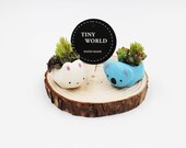Tiny World- Dream Garden planter - set of two mini succulent arrangement rabbit and koala planter,Ceramic Pot, Air Plant Terrarium Container
