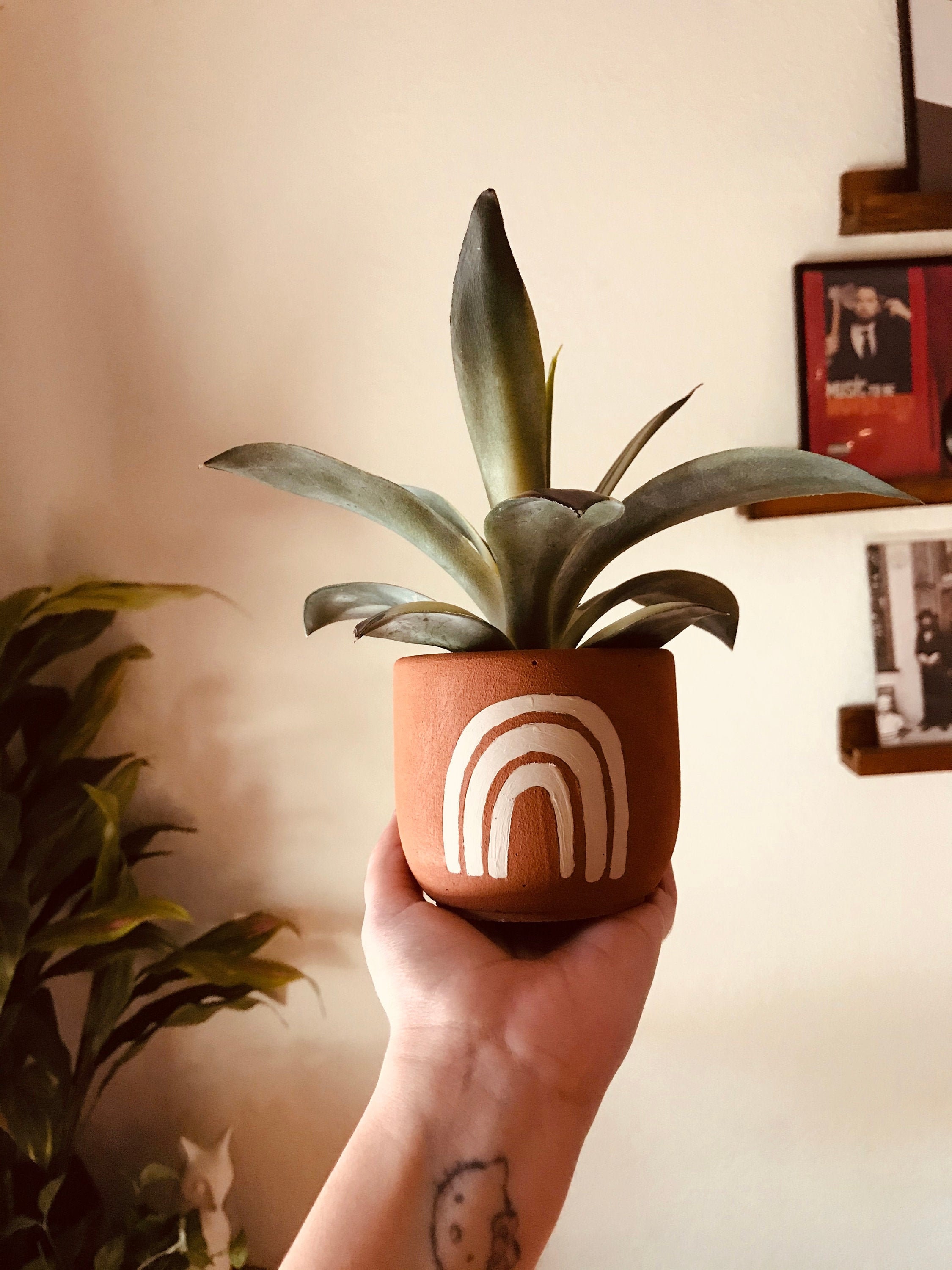 Hand-Painted Boho Rainbow Cement Planter | Terracotta