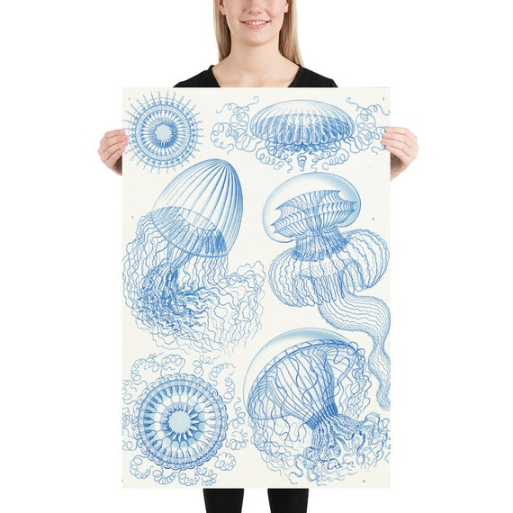Poster - Wall Art - Home Decor - Ernst Haeckel  Art Forms of Nature Jellyfish - Wall Art Art