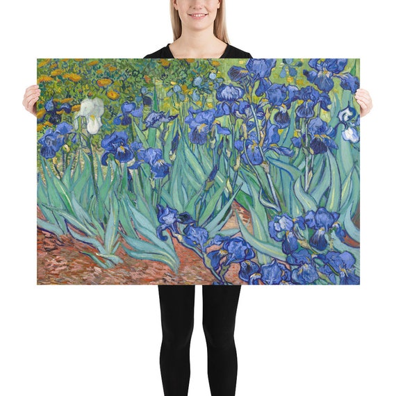 Poster - Wall Art - Home Decor - Vincent van Gogh  Irises - Art and Wall Art