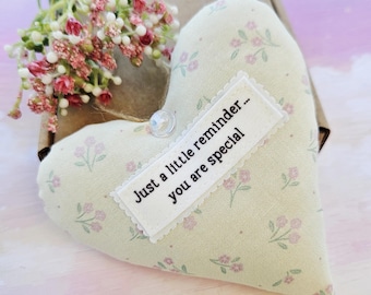 Just a Little Reminder, You Are Special - Fabric Heart Gift - Thinking of You - Friendship