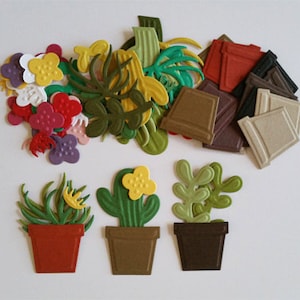 Découpes de cactus