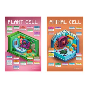 Conjunto de pósteres de células animales y vegetales de CellCraft: pósteres científicos inspirados en videojuegos (24” x 36” cada uno)