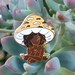 Orange Mushroom Girl - Hard Enamel Pin
