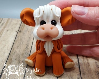 Pumpkin! The "Mini Moo"