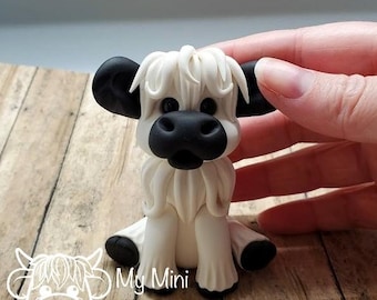 Cookie! The "Mini Moo"