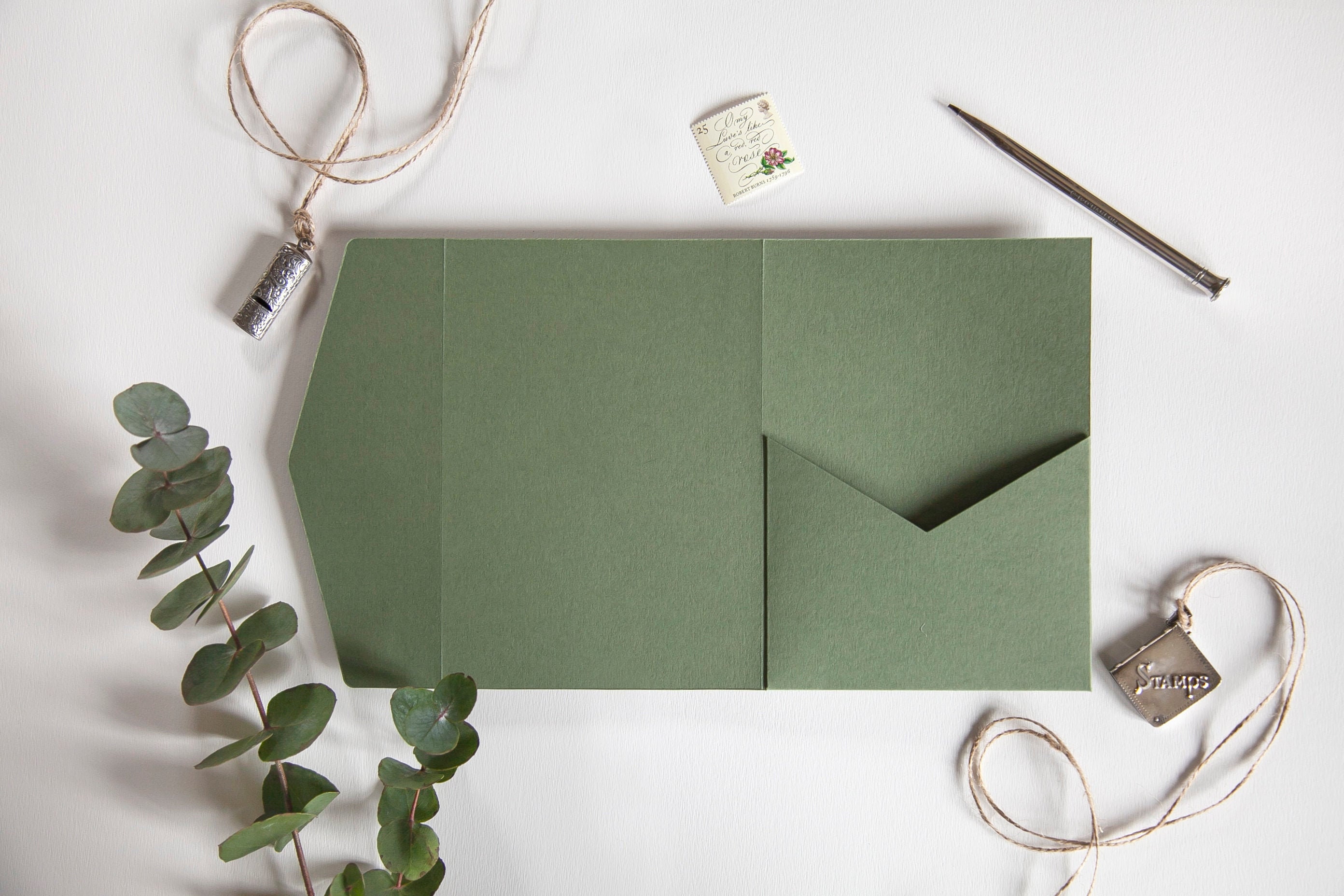 Solid Sage Green Succulents Wedding 5x7 Envelope  Succulent wedding,  Custom envelopes, 5x7 envelopes