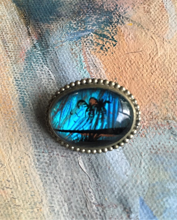 Vintage Blue Morpho Butterfly Wing Brooch Pin, Tr… - image 7