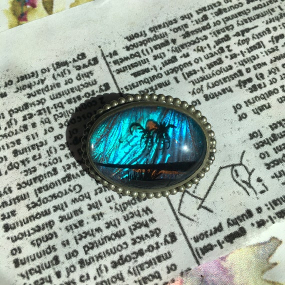 Vintage Blue Morpho Butterfly Wing Brooch Pin, Tr… - image 5