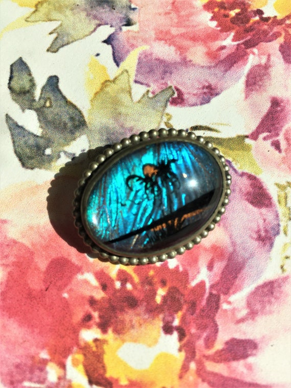 Vintage Blue Morpho Butterfly Wing Brooch Pin, Tr… - image 1